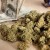 Legal marijuana