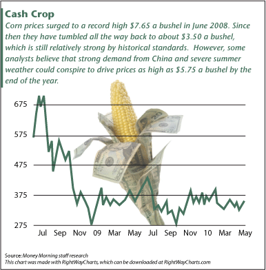 Corn Cash Crop