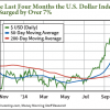 U.S. Dollar Profit