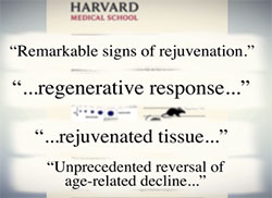 rejuvenated tissue