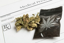 pharmaceutical marijuana