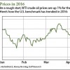 oil price prediction 2016