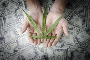 marijuana stocks 