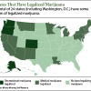 states voting on marijuana legalization