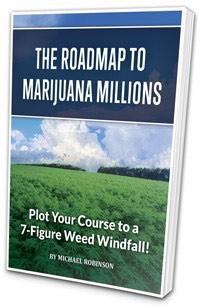 The-Roadmap-to-Marijuana-Millions-NVX-weed