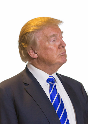 Donald Trump in suit blue tie