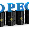 next OPEC meeting