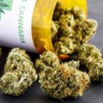 best medical marijuana stocks