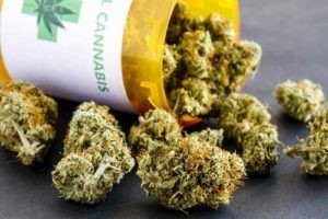 best medical marijuana stocks