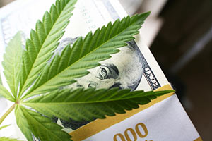 marijuana stocks in 2017