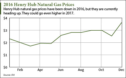 natural gas prices