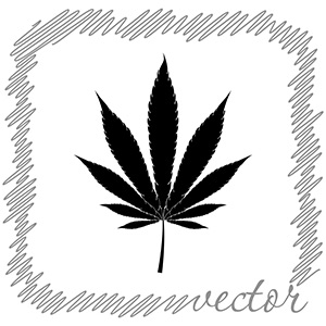 sketched-weed-leaf