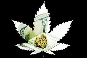 should I invest in marijuana stocks
