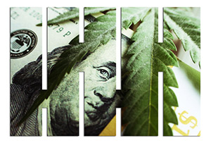 marijuana investing in 2017