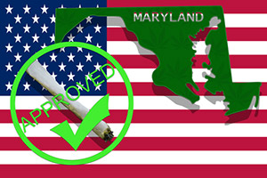 Maryland marijuana 