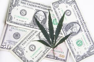 legal marijuana industry