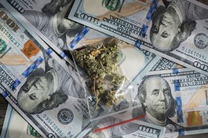 top marijuana companies 