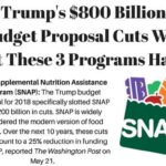 trump's budget plan