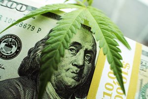 marijuana stocks with dividends 