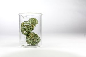 marijuana in Pennsylvania