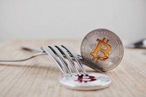 1st august bitcoin fork