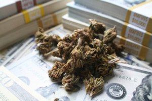 top marijuana penny stocks