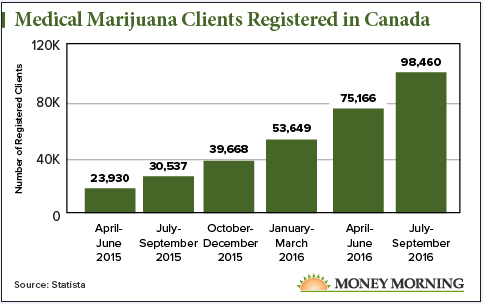 top marijuana penny stock gainers