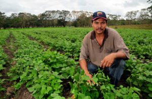 American farmers