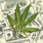 marijuana penny stocks august 2017