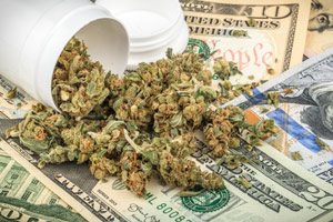 top marijuana penny stock