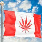Canadian marijuana