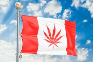 Canadian marijuana