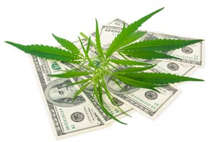 marijuana penny stocks