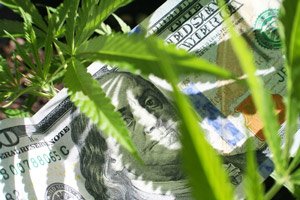 best marijuana stock to buy