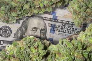 best marijuana stock to buy today