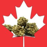 Canadian cannabis