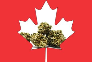 Canadian cannabis