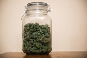 California marijuana stock