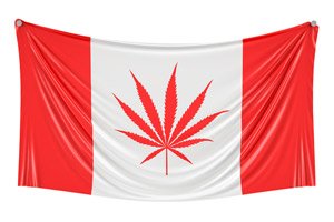 Canadian pot stocks