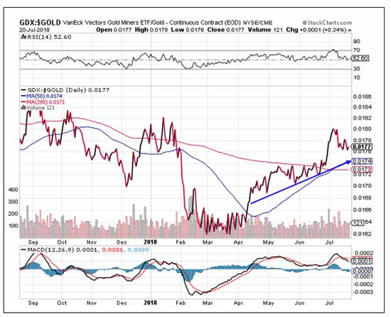 GDX:GOLD GRAPH