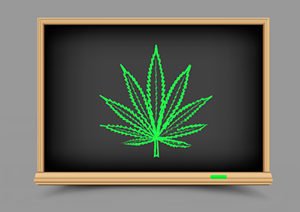 top cannabis stocks to watch in 2018