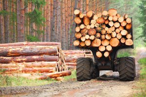 truck with chopped wood