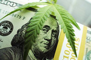 cannabis penny stocks