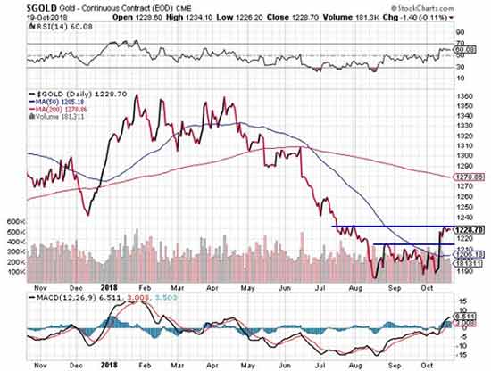 gold price prediction