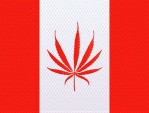 Canada weed