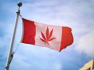 Canada marijuana legalization