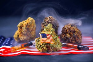 American cannabis summit