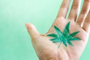 marijuana leaf on palm