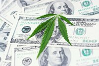 marijuana stocks in 2019