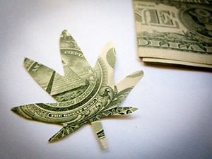 cannabis stocks